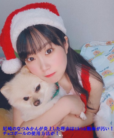 尼崎のなつみかんさんがクリスマス衣装を着て犬を抱いている画像でその画像の中に『尼崎のなつみかんが炎上した理由はtiktok動画が汚い！チョコボールの使用方法が！』が書かれています。