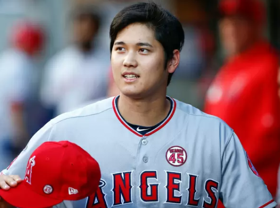 大谷翔平の両親の職業や経歴に驚き 兄や姉も高身長で年齢は こーさんのためになる情報