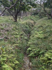 蓬莱山の登山ルートの一部で道でないような道の写真