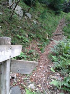 蓬莱山の登山ルートの分岐点
